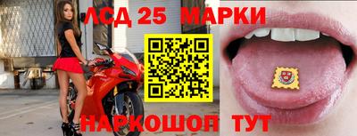 дмт Кимры