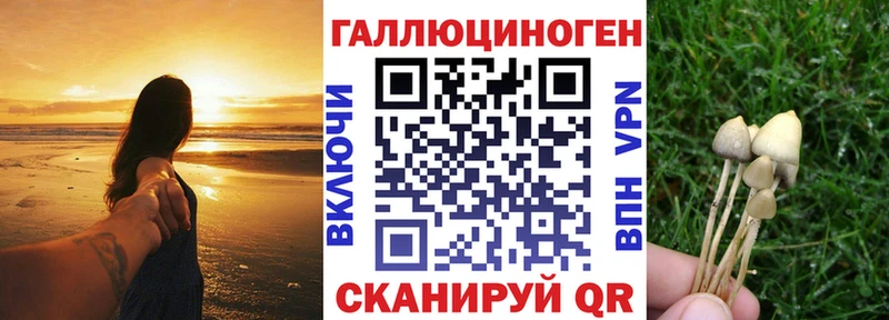 Псилоцибиновые грибы Psilocybine cubensis  Обь 