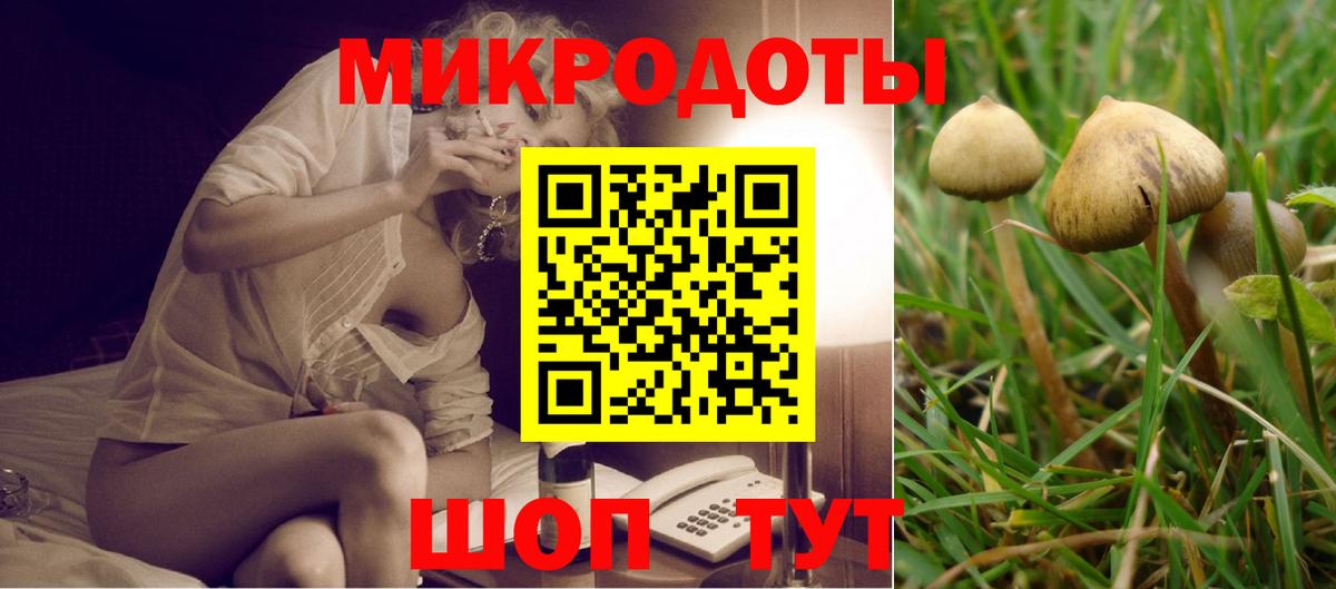 Псилоцибиновые грибы GOLDEN TEACHER Обь